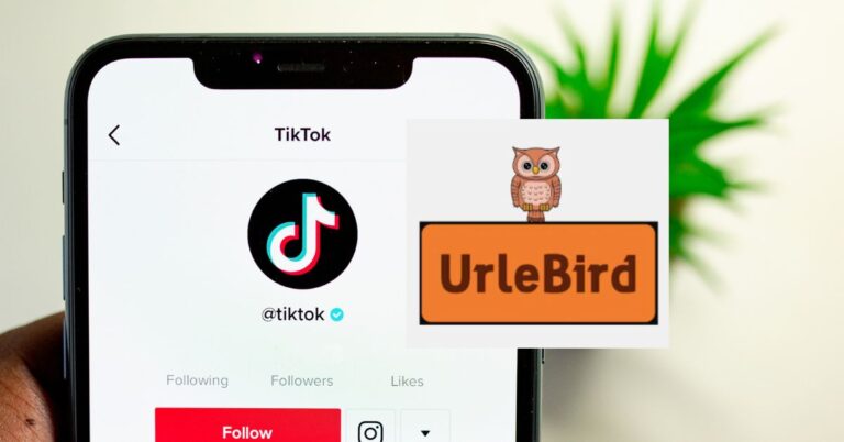 Urlebird Best TikTok Online Viewer App for Android 2024